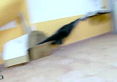 Skinny Blonde Bitch Nailed Hard in Fitness Room