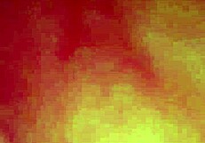 This is a verification video for the content