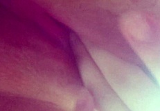 toda gozadinha needing a penis for complete satisfaction hehe