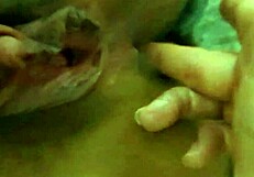 Vaginal and Anal Masturbation with a Naughty Blowjob! So Greedy!