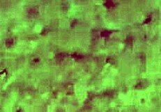 Devar Fucking Bhabhi Until Her Pussy Cream Came Out