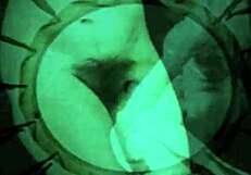 Vintage erotic art showcases hairy beaver in raw retro style.