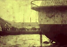 Vintage erotic art showcases hairy beaver in raw retro style.