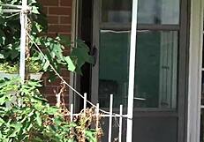 branquinha deliciosa in lingerie anal assfucking