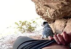 yo, ever tried a public blowjob in a cave like this?