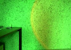 hottest lingerie try on haul gfe with tits and pussy