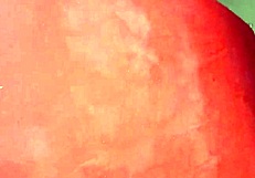 A slut catches me masturbating and fucks me with her tight pussy.