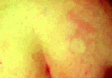 amateur girlfriend bends over for homemade doggystyle with friend