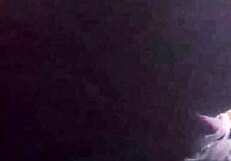 BBW Sri Lankan Wife Blows Big Tits In Amateur Chubby Fucking!