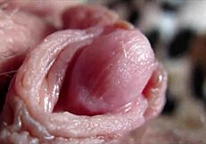 Big Clit Orgasms in Close-Up Pussy View.