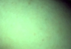 Adsw Gordinha Puta Gets Fucked Hard!