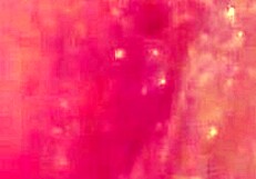 shy bathing in the shower