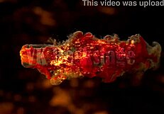 प्रिंसेस लिली डॉगीस्टाइल और अस टू माउथ लेती है डर्टी टॉक के साथ