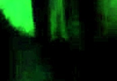 having fun making free porn with blowjob and masturbation