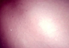 What A Mature Petite Ass For Anal Sex?