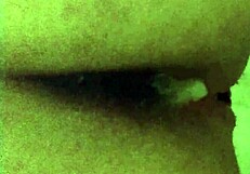 Husband Cumming in Wife's Naughty Ass, Retro Style