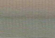 This amateur video captures a casual moment on July 18, 2016