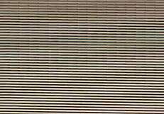 This amateur video captures a casual moment on July 18, 2016