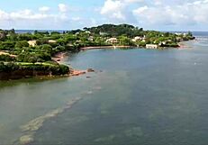 Tushy Stunning Redhead Dolly Dyson Has Intense Double Penetration Orgasm