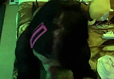 Asian Babe In Lingerie Gets Pussy Licked