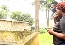 Tourists say, 'Let's fuck in the park'