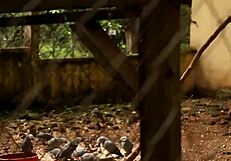 Tourists say, 'Let's fuck in the park'