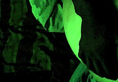 bbc meets bbw in a casual encounter