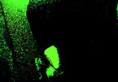 my beautiful blonde wife shares her daily life