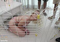 Pet Larissa Leite enjoys deep anal with four big black cocks