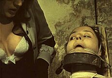 My secret life top twenty vintage punishments