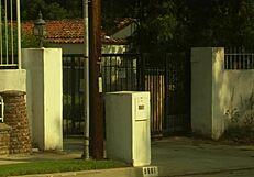 Marie Luv gets her shaved pussy pounded by Sean Michaels' big cock, ending in facial cumshot