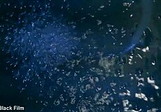 honey's erotic art with paul black