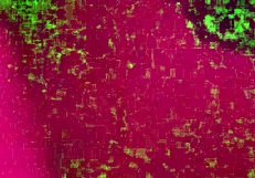 i lick her big pussy lips while she dives into my muff.