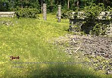 The Price Of Power 29?