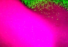 i lick her big pussy lips while she dives into my muff.