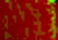 Kanedamaaka ruins my leggings in doggystyle excitement!