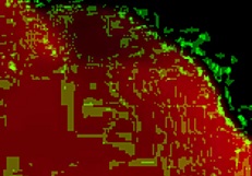 Kanedamaaka ruins my leggings in doggystyle excitement!