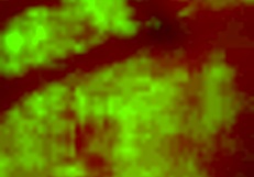 Kanedamaaka ruins my leggings in doggystyle excitement!