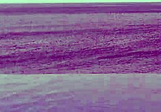 Student at Infinity Pool!