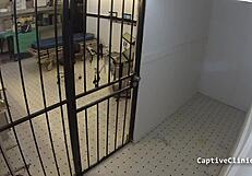 tsayyyy what are you doing to sheila daniels