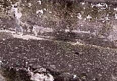 Amateur hottie with pink pussy climbs the hill craving wild street action