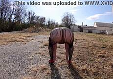 Mature Wife Shows Huge Ass in Thong Bodysuit!