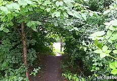 Lucia flashes big tits in public fingering challenge.