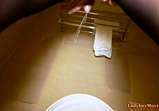 transsexual office girl flashes tits and pees in bathroom