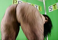 I love watching Nat Foxx and big butt strippers shake their asses