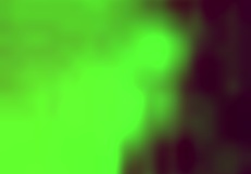 I challenged nicoli fox and leo ogro to silhouette fame