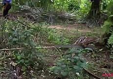 White ass fuck queen banged in the village bush by stranger!