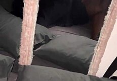 Brea big phat chocolate ass butt