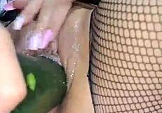 Sexo Con Pepinos Ardiente Colombiana Se Mete Un Pepino En La Vagina Con Mucho Placer La Coneja Rabitquicky Official Esta Sedienta De Verga Y Decide Meterse Un Pepino Hasta Venirse Muchas Veces