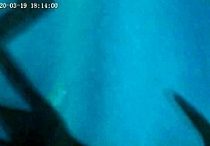 Paty ass is hot but her pussy stays wet!